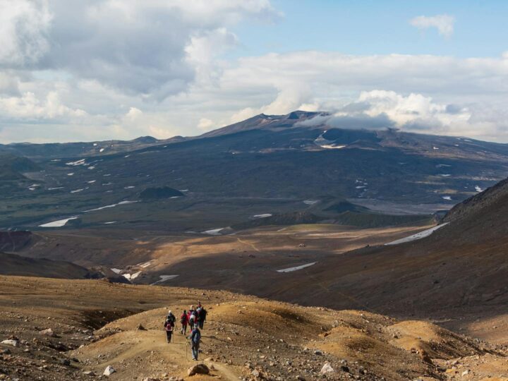 Безкоштовн пши прогулянки по Гельснк